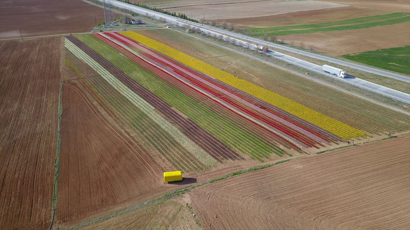 Hollanda'dan Karaman'a dönüş yaptı! Bu işe başladı 11 ülke sipariş için sırada - Resim: 2