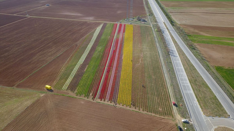 Hollanda'dan Karaman'a dönüş yaptı! Bu işe başladı 11 ülke sipariş için sırada - Resim: 3