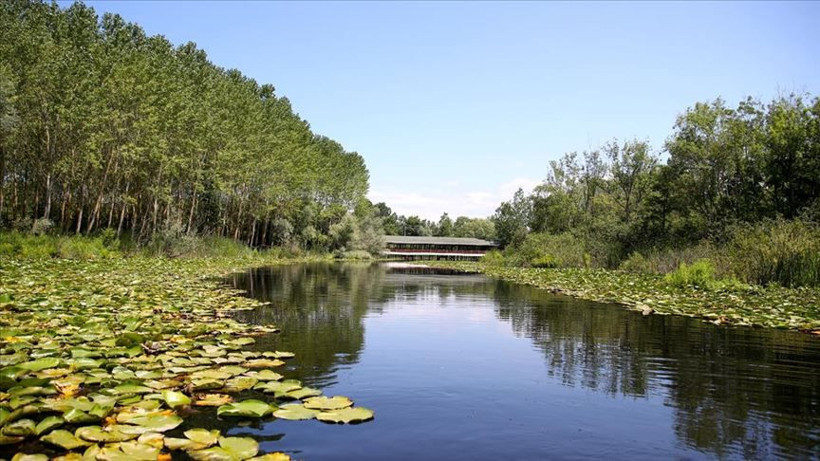 İstanbul çevresinde kamp alanları! İşte 8 harika kamp alanı! - Resim: 3