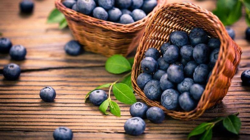 Yaban mersininin faydaları neler? Bu yararını duyunca çok şaşıracaksınız! - Resim: 1