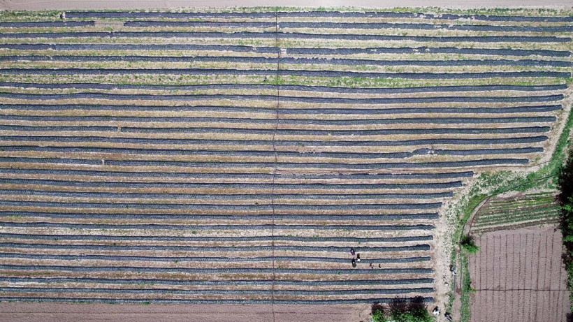 Şehirden köye döndüler hayatları değişti! Kayserili çift üretici oldu: Başka kimse yok - Resim: 2