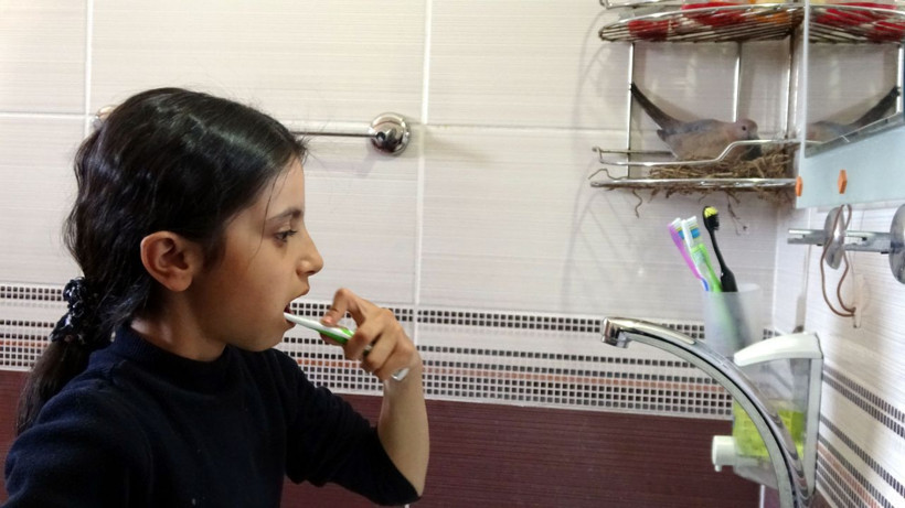 Evin banyosuna yuva yapan kumrular Hakkarili aileyi şaşırttı - Resim: 4