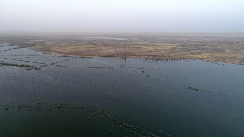 Irak'ta çölün ortasındaki mucize Necef Denizi - Resim: 3