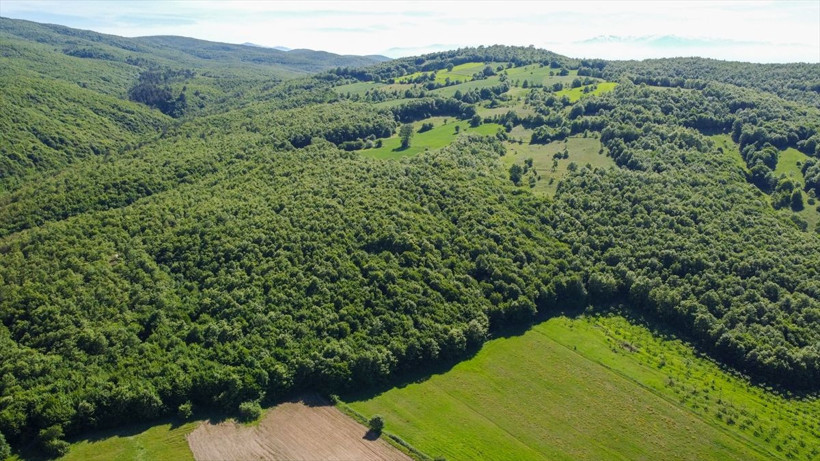15 gün sürüyor! Bilecik'te üretip başında nöbet tutuyor: Peşin para kazanıyorlar - Resim: 3