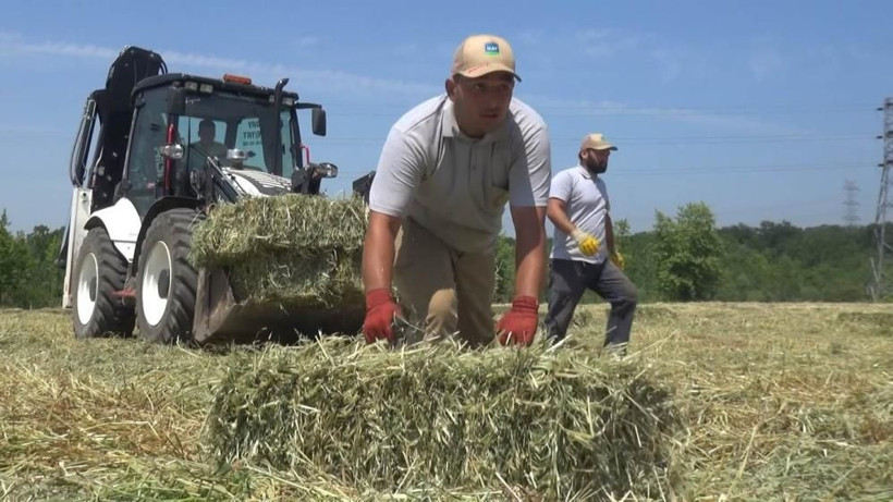 Bartın'da asgari ücretli işten patronluğa! İstifa ettiler hayatları değişti: 2 milyon TL... - Resim: 1