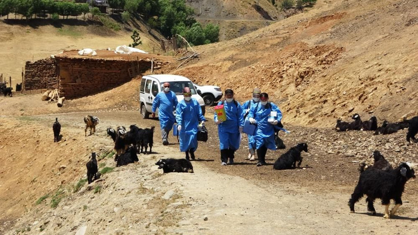 Kilometrelerce yürüyorlar! Muş'ta sağlıkçıların zorlu yolculuğu: Aşı Berivanlara kadar ulaştı - Resim: 2