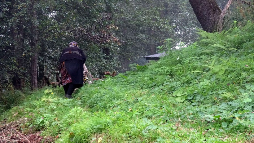 Trabzon'da 37 yıldır yaylada yaşıyor! Türk nine İtalya'dan ödül aldı hayatı çok ilginç - Resim: 3