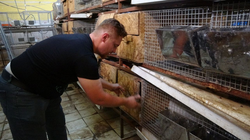 Öğretmenliği bırakıp Adana'da bu işe başladı! Kilosunu 45 TL'ye satıyor: 9 ülke sırada - Resim: 2