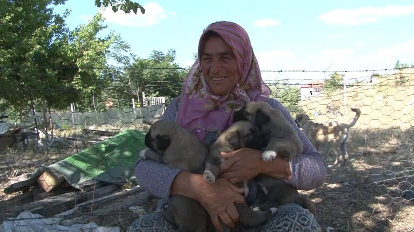 Çok nadir bulunuyor! Kırıkkale'de fiyatını duyan inanamadı: Gece kalkıp... - Resim: 4