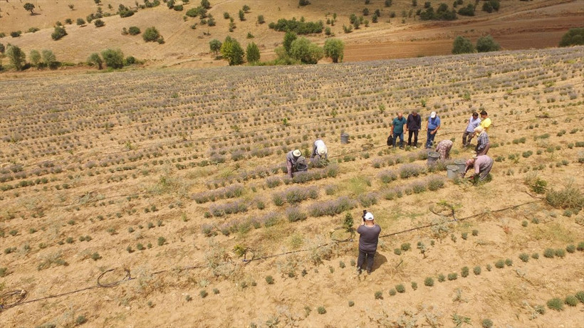 Londra'yı bırakıp Manisa'ya döndü! Hobisini işe çevirdi hayatı değişti - Resim: 4
