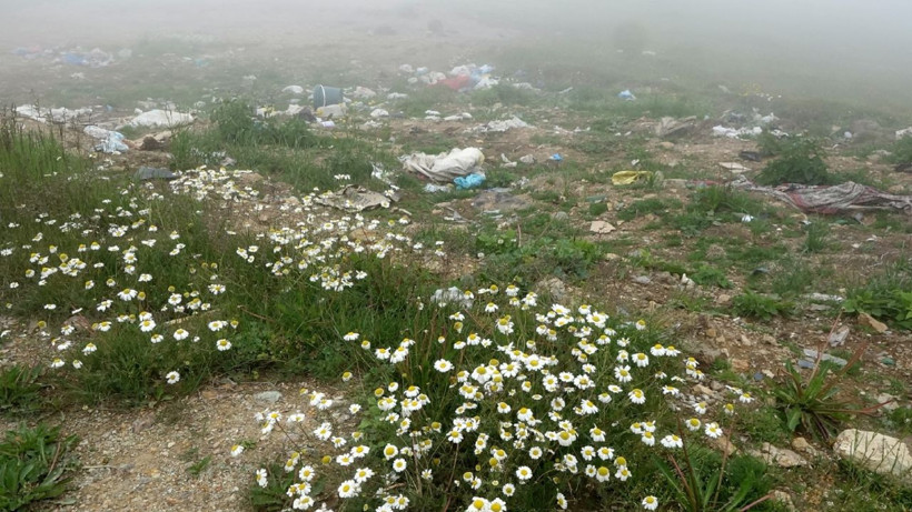 Gümüşhane'nin Taşköprü Yaylası çöplüğe döndü - Resim: 3