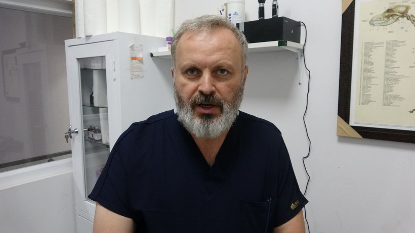 Zonguldak'ta golden cinsi köpeğin idrar kesesinden çıktı veteriner hekim inanamadı - Resim: 3