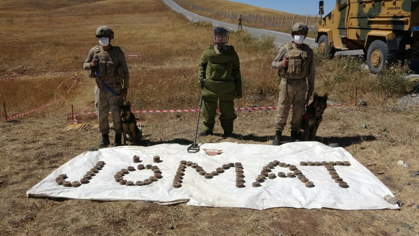 İran sınırında zorlu mayın temizleme görevi - Resim: 3