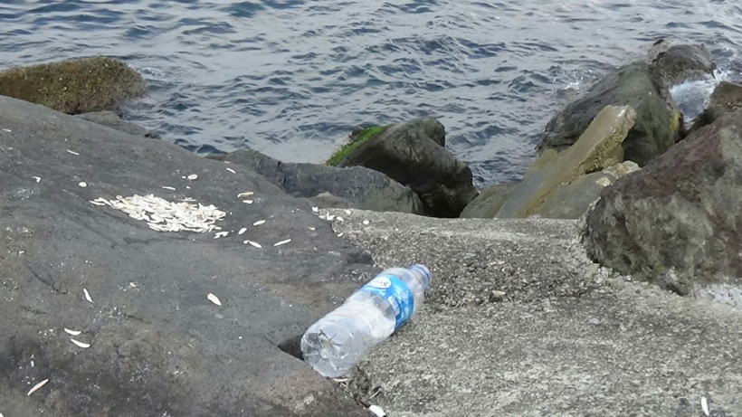 Karadeniz'de 500 metrekarede 2 bin 500 atık çıktı - Resim: 2