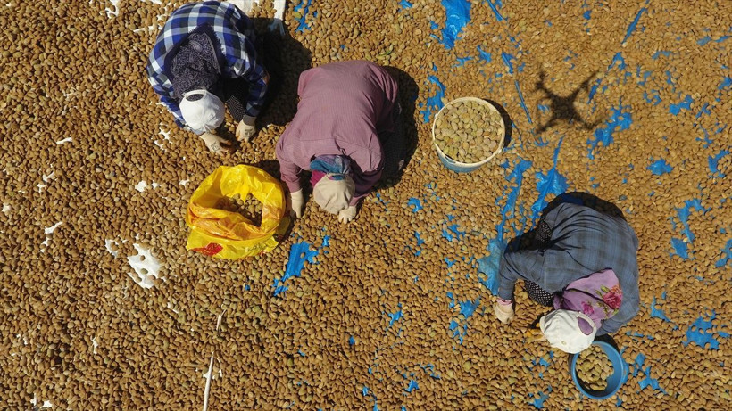 Adıyaman'da ceketini alıp köye döndü bu işe başladı! Yüksek gelir elde ediyor - Resim: 3