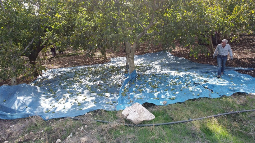 Bilecik'te uzun kuyruk oluştu günlük 560 bin TL kazanıyorlar - Resim: 1