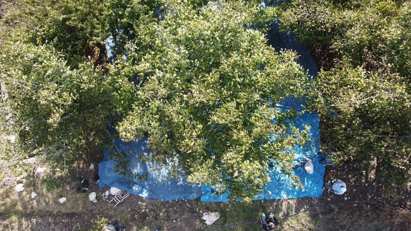 Bilecik'te uzun kuyruk oluştu günlük 560 bin TL kazanıyorlar - Resim: 2