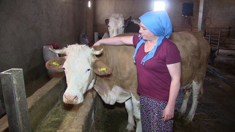 Kahramanmaraş'ta 4 yıl önce mikro krediyle tanıştı hayatı değişti - Resim: 4