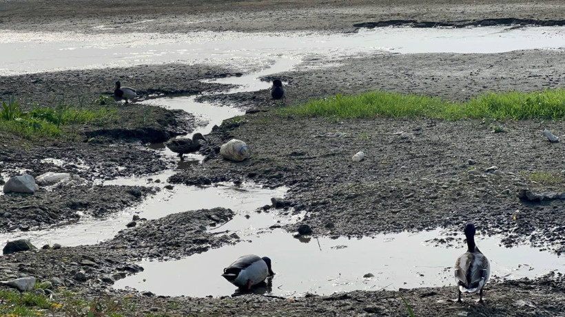 İznik Gölü’ndeki tehlike korkutuyor! Kuraklık hat safhaya ulaştı - Resim: 1