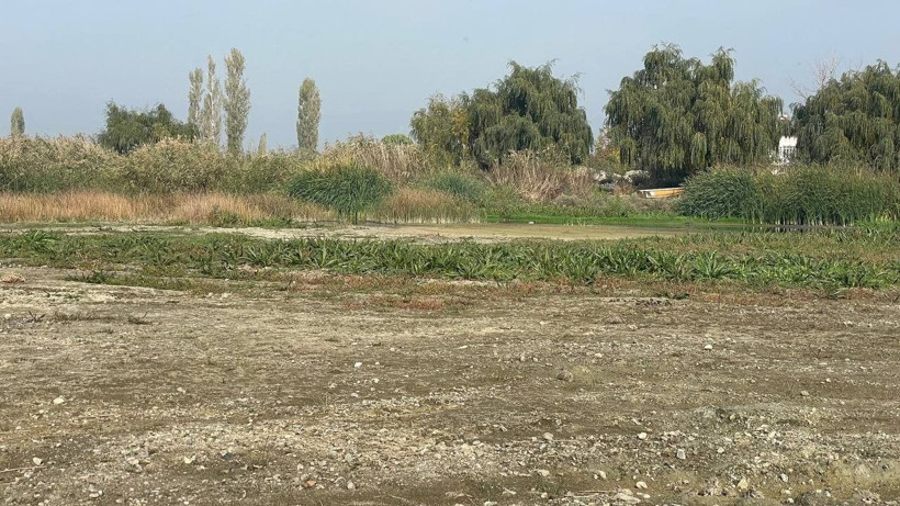 İznik Gölü’ndeki tehlike korkutuyor! Kuraklık hat safhaya ulaştı - Resim: 4