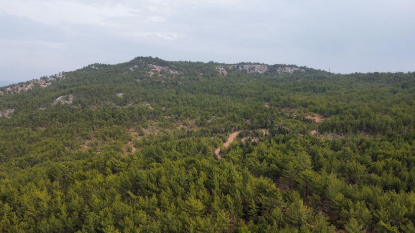 Kaybolan Yörük kızı Müslüme Yağal ölü bulundu! Müslüme'nin cesedi bakın nerede çıktı - Resim: 4