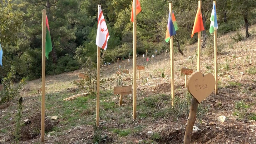 Mühendisliği bırakıp Kazdağları'na yerleşti! Balıkesir'de görenleri imrendiren hayat - Resim: 4