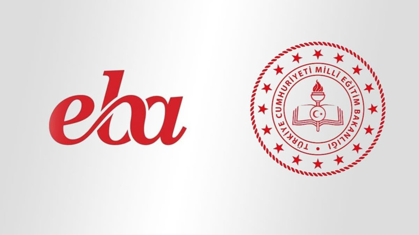 Google açıkladı! İşte Türkiye'nin 2021'de en çok merak ettikleri... Zirveleri gören inanamadı - Resim: 2