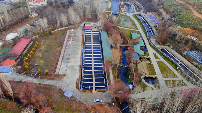 Denizi olmayan Malatya'nın Doğanşehir ilçesinde yıllık 500 ton balık üretiliyor - Resim: 1