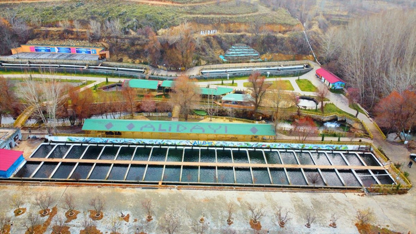 Denizi olmayan Malatya'nın Doğanşehir ilçesinde yıllık 500 ton balık üretiliyor - Resim: 2