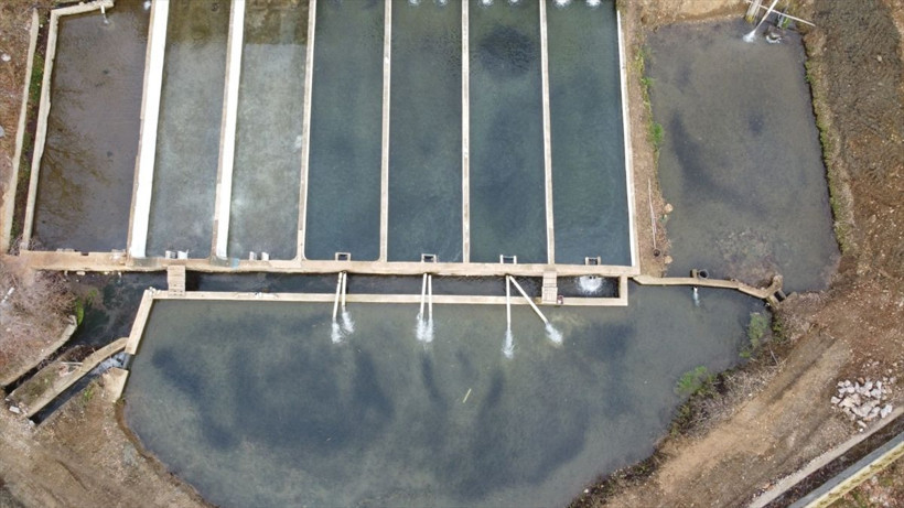 Denizi olmayan Malatya'nın Doğanşehir ilçesinde yıllık 500 ton balık üretiliyor - Resim: 3