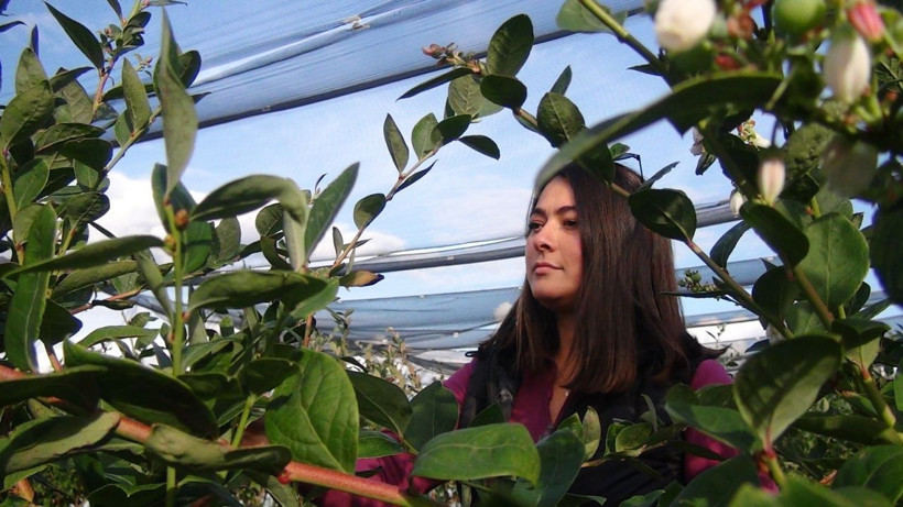 Antalya'da kilosu 160 TL'ye satılıyor! Paraya para demiyor: Kızlarım gibi görüyorum - Resim: 4