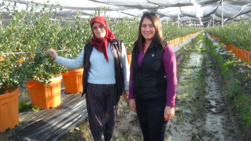 Antalya'da kilosu 160 TL'ye satılıyor! Paraya para demiyor: Kızlarım gibi görüyorum - Resim: 2