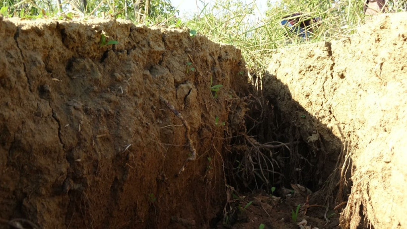 Aydın Germencik'te oluşan yarıkların kuraklıktan kaynaklandığı bildirildi - Resim: 4
