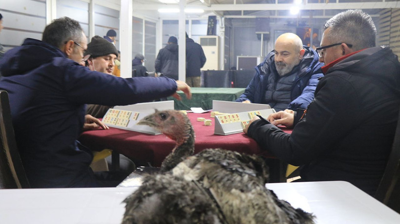 Zonguldak'ta hindi ödüllü okey turnuvası renkli görüntülere sahne oldu - Resim: 3