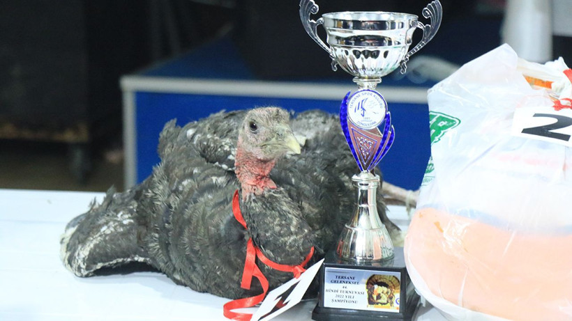 Zonguldak'ta hindi ödüllü okey turnuvası renkli görüntülere sahne oldu - Resim: 4