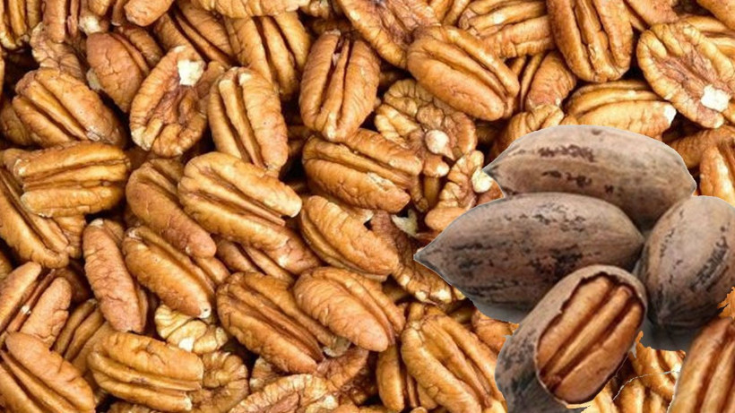 Yasemin Özilhan'ın kilosu 760 TL olan pikan cevizli yemek tarifi sosyal medyanın sinirini bozdu! - Resim: 2