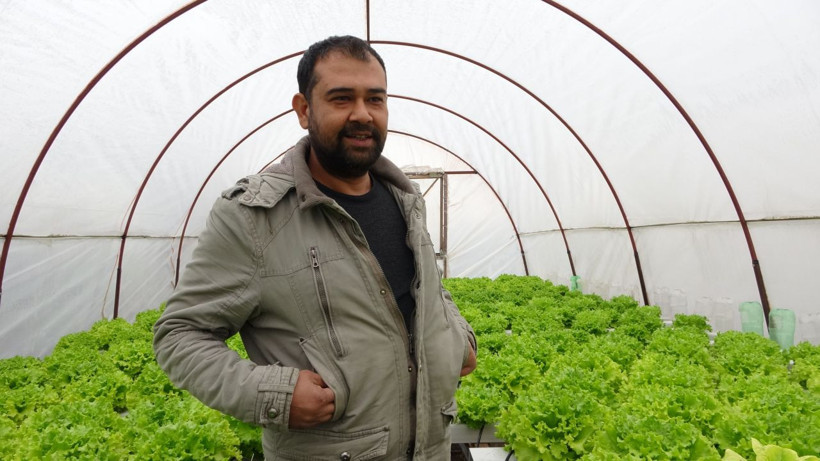 İstanbul'da memurluğu bırakıp Adana'ya döndü! Topraksız tarımda aylık 28 bin lira kazanabiliyor - Resim: 1