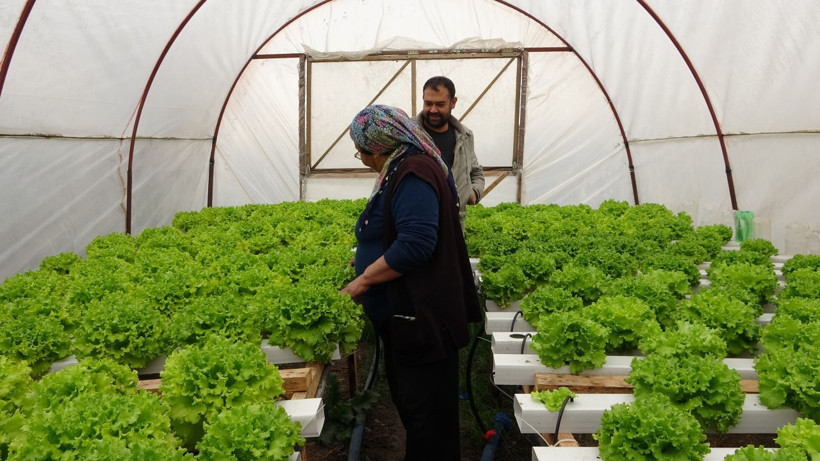 İstanbul'da memurluğu bırakıp Adana'ya döndü! Topraksız tarımda aylık 28 bin lira kazanabiliyor - Resim: 2