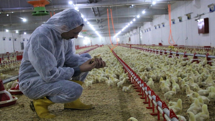 Şehir hayatından sıkıldı devletten destek alıp Elazığ'da köyüne döndü! Paraya para demiyor - Resim: 2