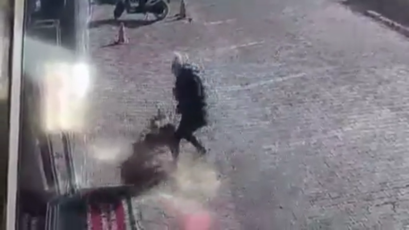 Antalya'da yasaklı cins sokak köpeği genç kadın ve köpeğine dehşeti yaşattı - Resim: 4