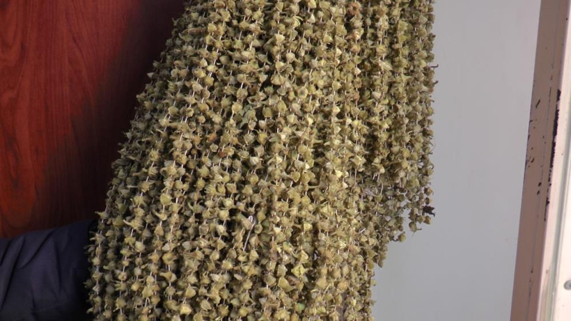 Kilosu 400 TL'ye satılıyor gram altınla yarışıyor! Kayseri'de talep patladı: Sabah ezanında gün doğmadan... - Resim: 2