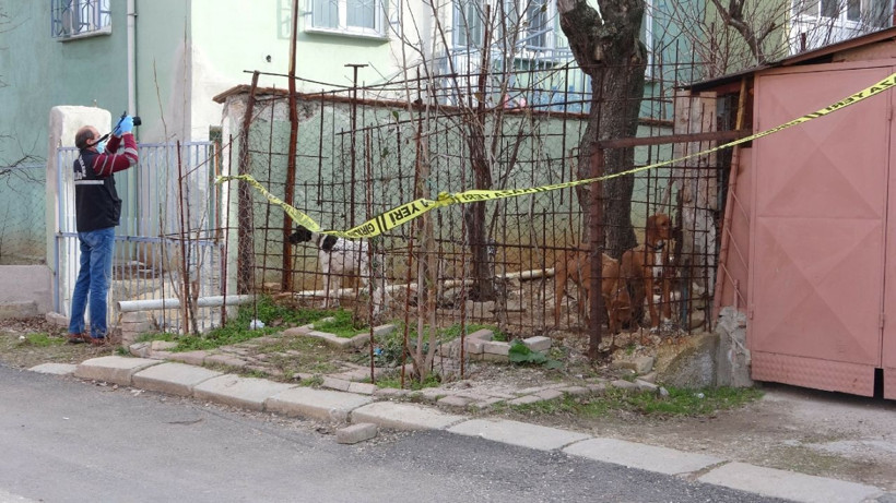 Uşak'ta komşuların köpek kavgası kanlı bitti! Ağır yaralandı - Resim: 4