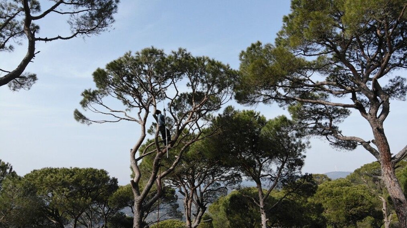 Günlük 400 TL kazanıyorlar! Çok büyük bir ölüm tehlikesi var: Aydın'da komanda eğitimi gibi işçilik - Resim: 4