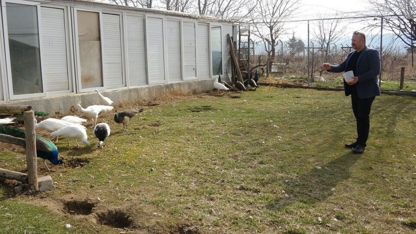 Tanesinden 5 bin TL kazanıyor! Uşak'ta hobisini mesleğine çevirdi: Paraya para demiyor - Resim: 4