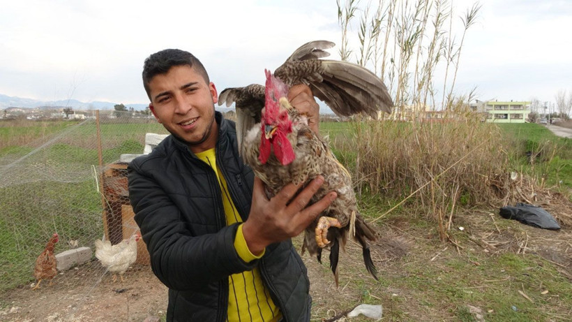 Antalya'da hiç ötmeyen horoz tam kesilecekken anne diye bağırdı videosu var gerçek gibi - Resim: 2