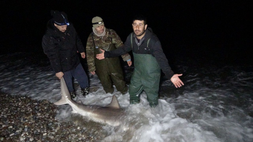 Manavgat'ta balıkçılar şaşkına döndü fotoğrafını çekip hemen 112'yi aradılar - Resim: 1