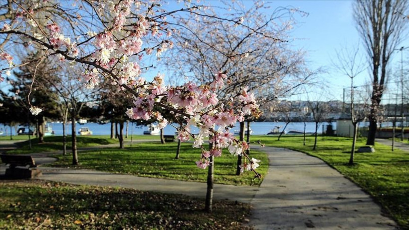 Son 30 yılın en kavurucu sıcakları geliyor! Bu yaz kuralık kapıda: Kandilli Meteoroloji uzmanı uyardı - Resim: 1