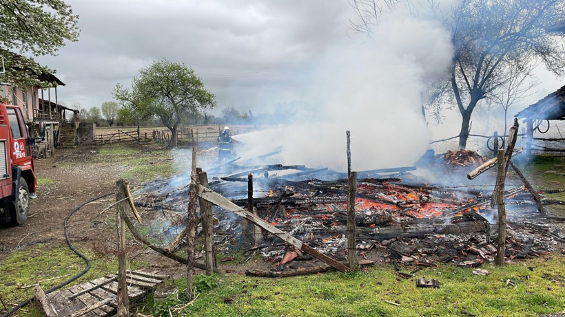 Düzce'de bağırış seslerini duyunca koştu! Görünce dünyası başına yıkıldı: Beceremedim - Resim: 1