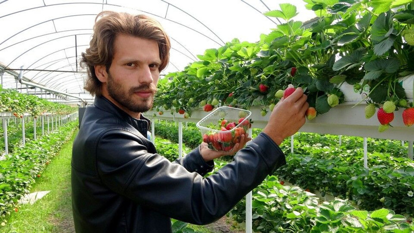 2 ayda fiyatı 30 TL'den 20 TL'ye düştü! Hayalini gerçekleştirdi: Osmaniye'de topraksız üretti - Resim: 4