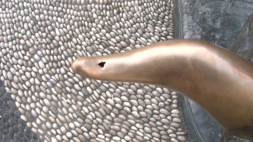 İBB etrafını kapatıp bakıma aldı Boğa Heykeli yine kurtulamadı - Resim: 1